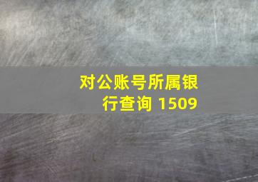 对公账号所属银行查询 1509